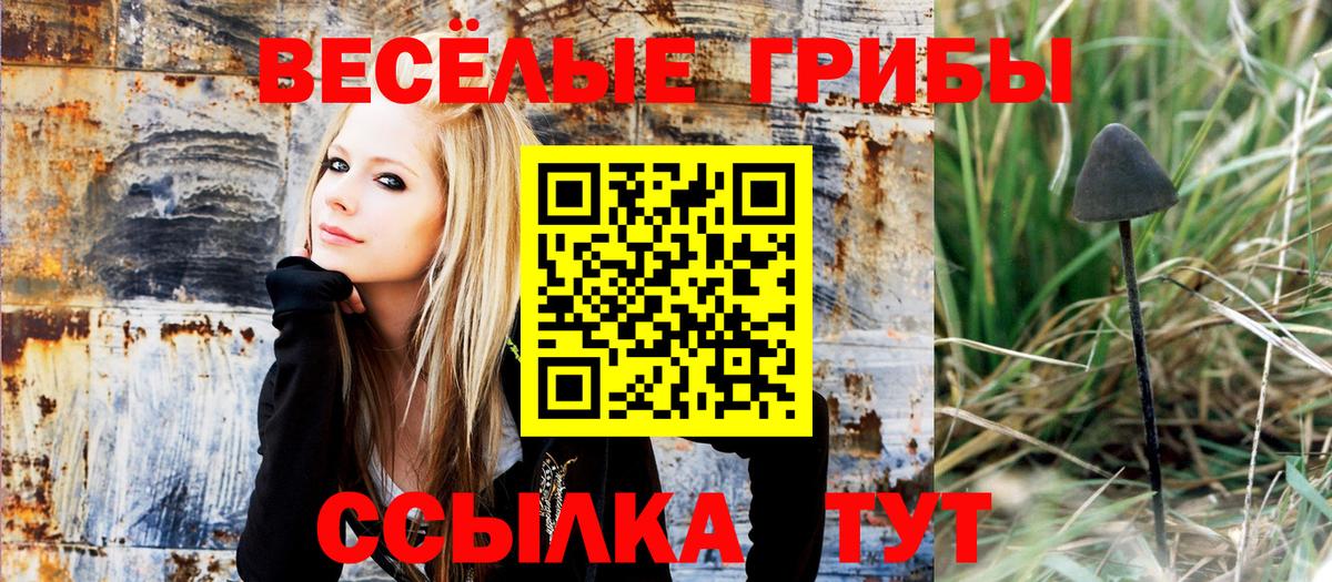 Псилоцибиновые грибы Cubensis Апатиты