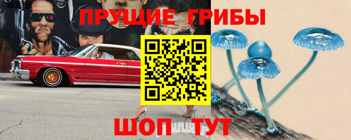 Апатиты  Галлюциногенные грибы Psilocybine cubensis  Вход с VPN 